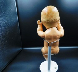 COMPO BABY NUDE BK